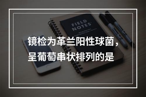 镜检为革兰阳性球菌，呈葡萄串状排列的是