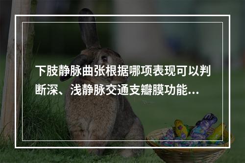 下肢静脉曲张根据哪项表现可以判断深、浅静脉交通支瓣膜功能障碍