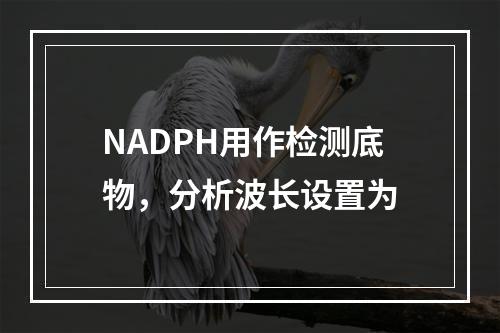 NADPH用作检测底物，分析波长设置为