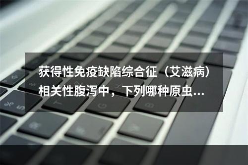 获得性免疫缺陷综合征（艾滋病）相关性腹泻中，下列哪种原虫引发