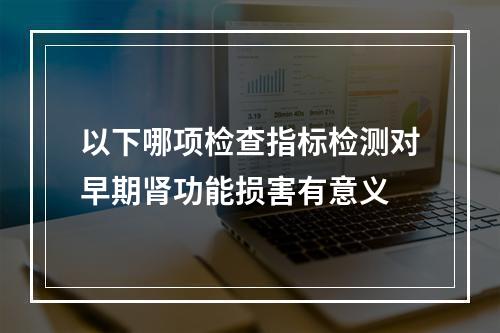 以下哪项检查指标检测对早期肾功能损害有意义