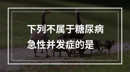 下列不属于糖尿病急性并发症的是