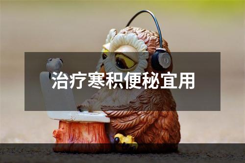 治疗寒积便秘宜用