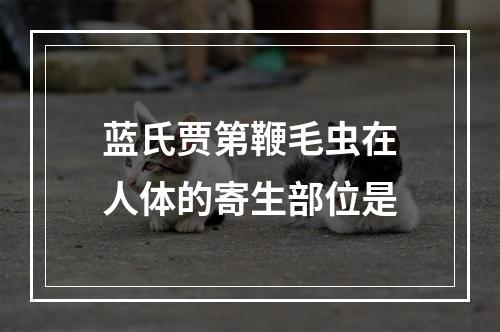 蓝氏贾第鞭毛虫在人体的寄生部位是