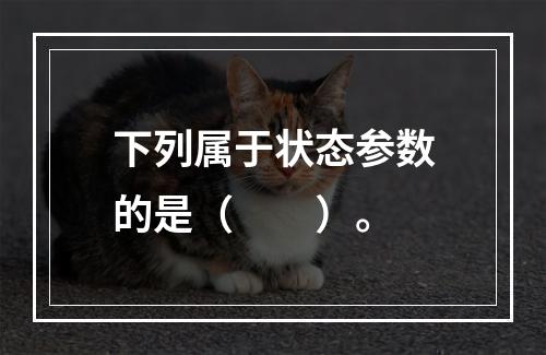 下列属于状态参数的是（　　）。