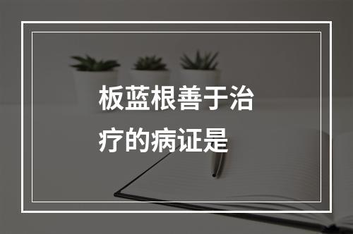 板蓝根善于治疗的病证是