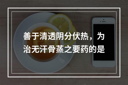 善于清透阴分伏热，为治无汗骨蒸之要药的是