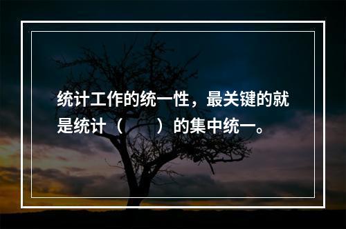 统计工作的统一性，最关键的就是统计（　　）的集中统一。