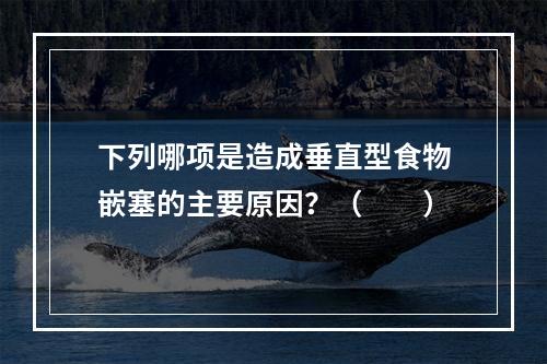 下列哪项是造成垂直型食物嵌塞的主要原因？（　　）