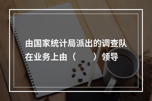 由国家统计局派出的调查队在业务上由（　　）领导