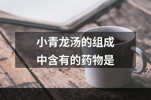 小青龙汤的组成中含有的药物是