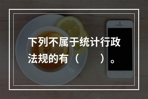 下列不属于统计行政法规的有（　　）。