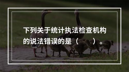 下列关于统计执法检查机构的说法错误的是（　　）。