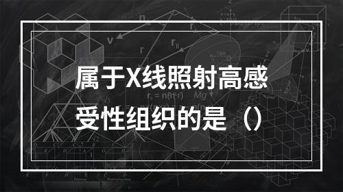 属于X线照射高感受性组织的是（）