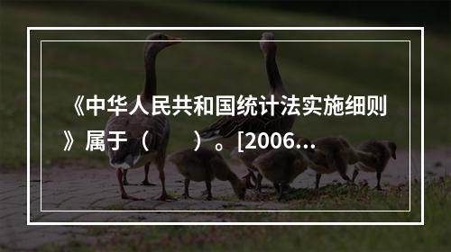 《中华人民共和国统计法实施细则》属于（　　）。[2006年