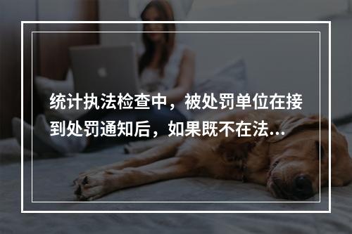 统计执法检查中，被处罚单位在接到处罚通知后，如果既不在法定