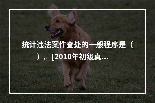 统计违法案件查处的一般程序是（　　）。[2010年初级真题