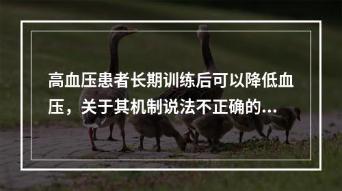 高血压患者长期训练后可以降低血压，关于其机制说法不正确的是