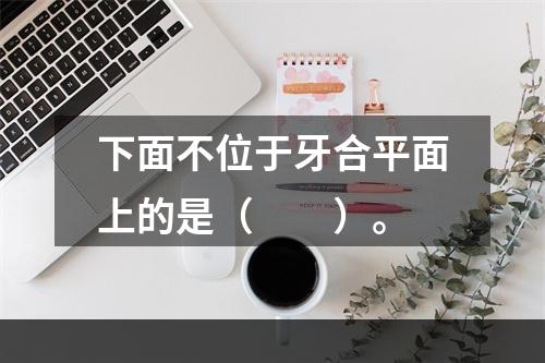 下面不位于牙合平面上的是（　　）。