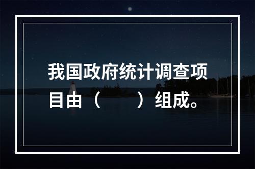 我国政府统计调查项目由（　　）组成。