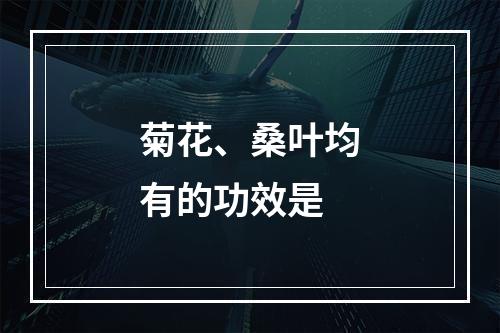 菊花、桑叶均有的功效是