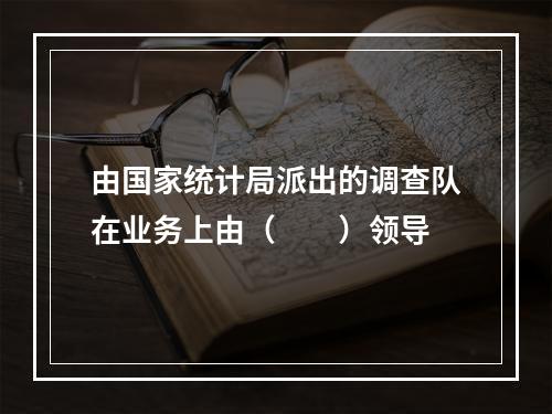 由国家统计局派出的调查队在业务上由（　　）领导