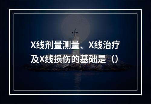 X线剂量测量、X线治疗及X线损伤的基础是（）