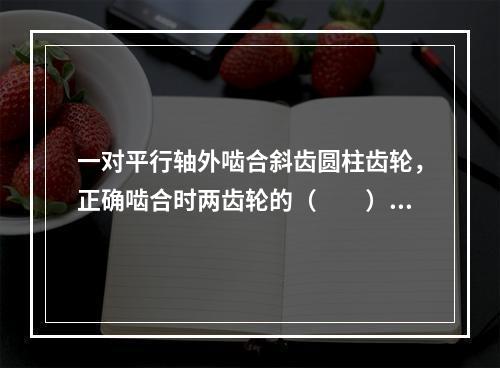 一对平行轴外啮合斜齿圆柱齿轮，正确啮合时两齿轮的（　　）。