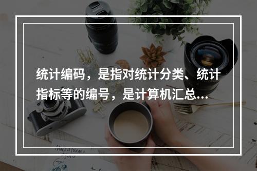 统计编码，是指对统计分类、统计指标等的编号，是计算机汇总的