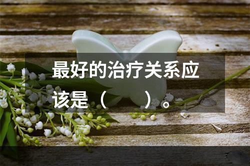 最好的治疗关系应该是（　　）。