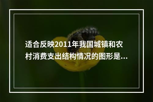 适合反映2011年我国城镇和农村消费支出结构情况的图形是（