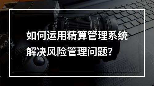 如何运用精算管理系统解决风险管理问题？