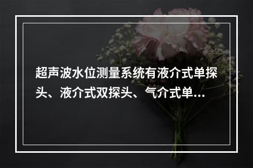 超声波水位测量系统有液介式单探头、液介式双探头、气介式单探