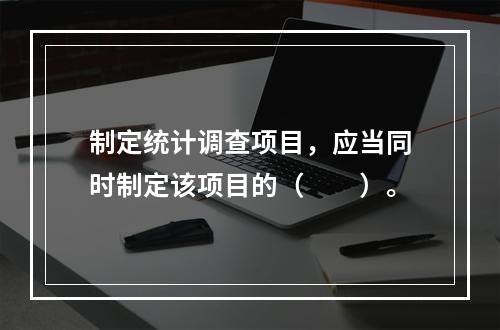 制定统计调查项目，应当同时制定该项目的（　　）。