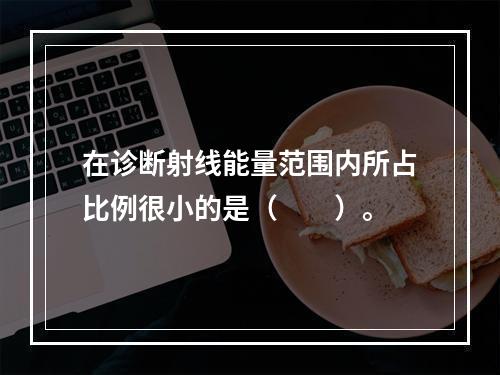 在诊断射线能量范围内所占比例很小的是（　　）。