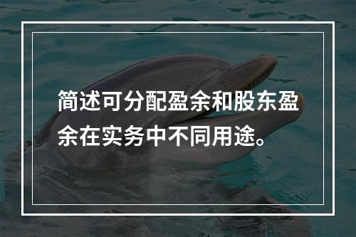 简述可分配盈余和股东盈余在实务中不同用途。