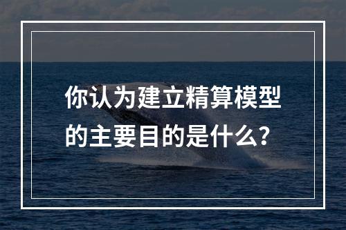 你认为建立精算模型的主要目的是什么？