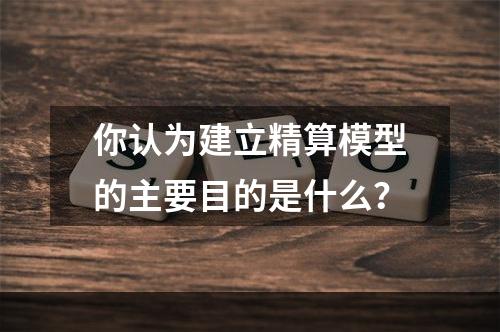 你认为建立精算模型的主要目的是什么？