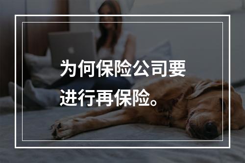 为何保险公司要进行再保险。