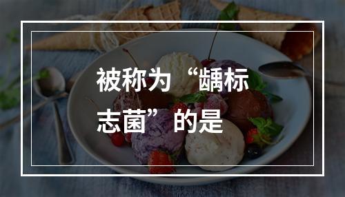 被称为“龋标志菌”的是