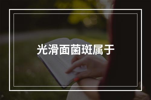 光滑面菌斑属于