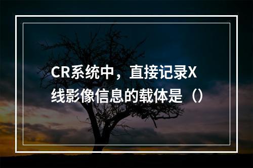 CR系统中，直接记录X线影像信息的载体是（）