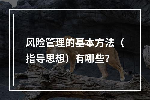 风险管理的基本方法（指导思想）有哪些？