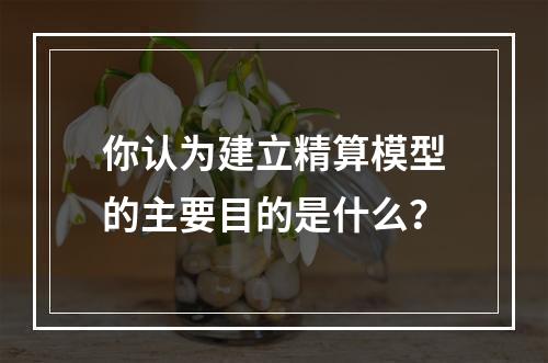 你认为建立精算模型的主要目的是什么？