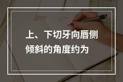 上、下切牙向唇侧倾斜的角度约为