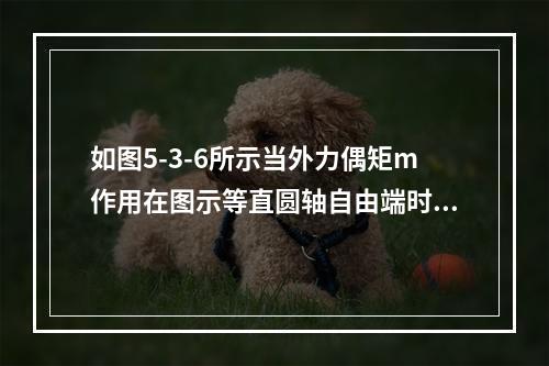 如图5-3-6所示当外力偶矩m作用在图示等直圆轴自由端时，