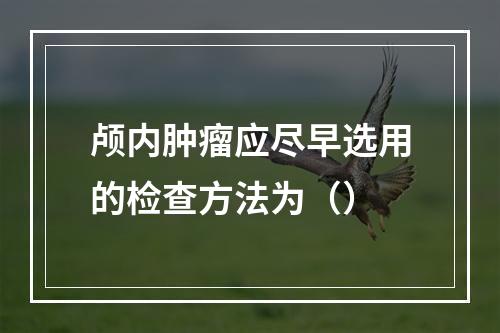 颅内肿瘤应尽早选用的检查方法为（）