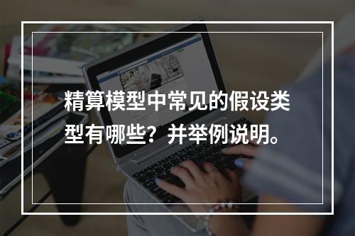 精算模型中常见的假设类型有哪些？并举例说明。