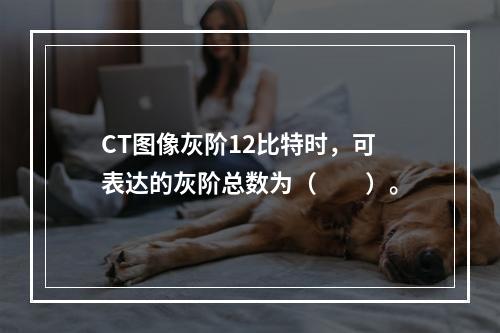 CT图像灰阶12比特时，可表达的灰阶总数为（　　）。