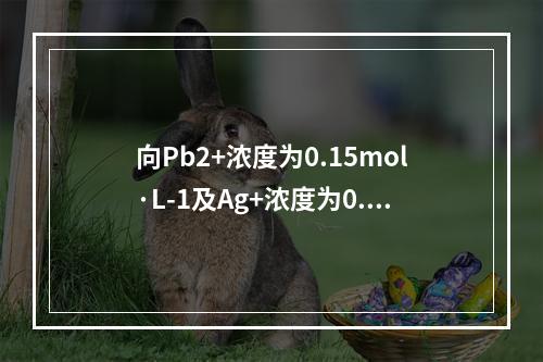 向Pb2+浓度为0.15mol·L-1及Ag+浓度为0.2